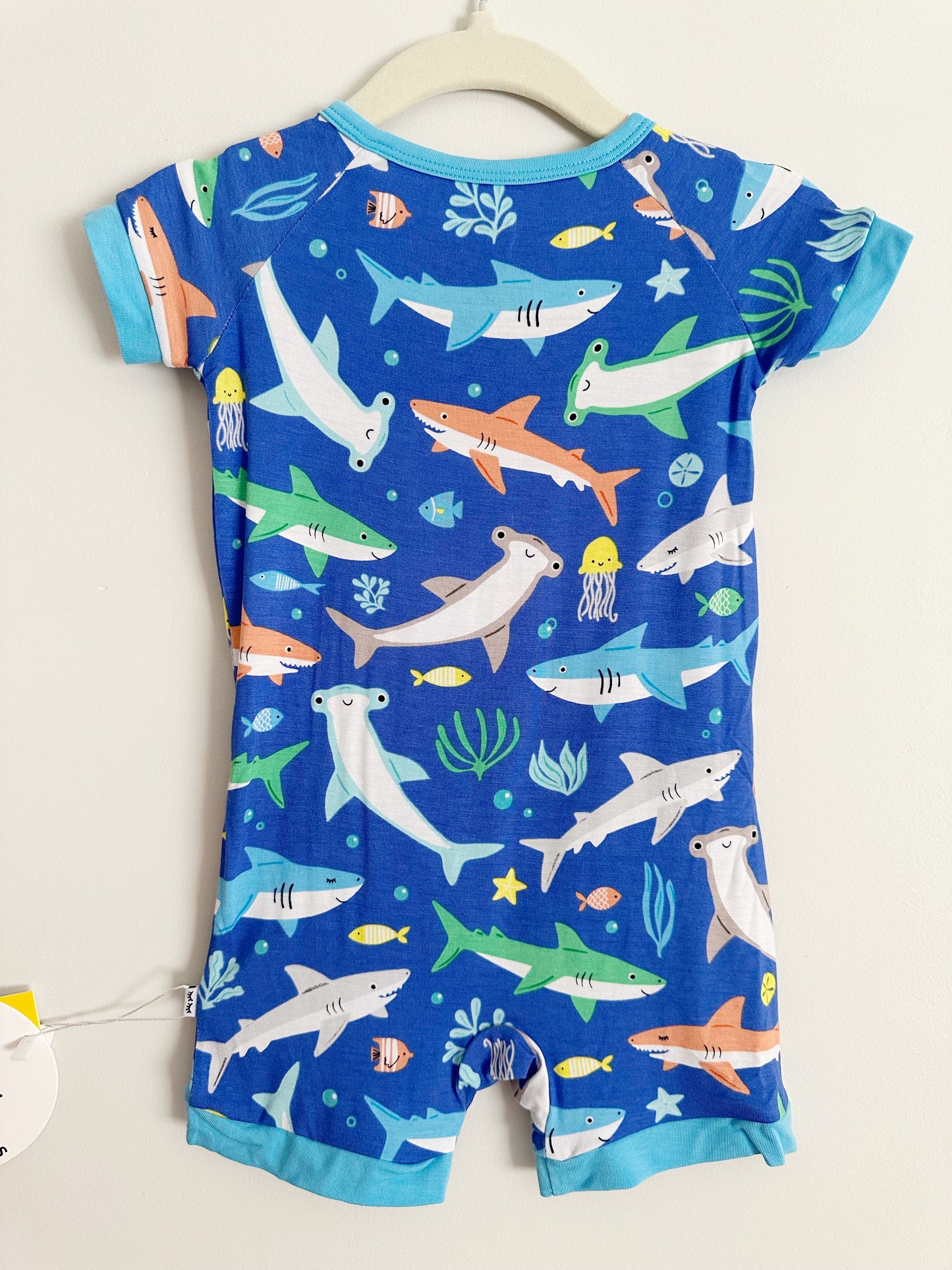 Rad Reef Shorty Zippy