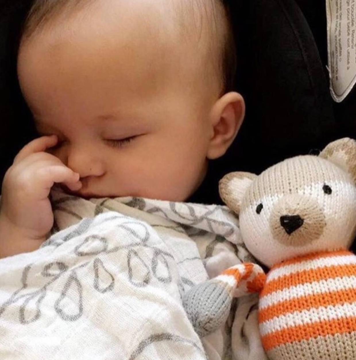 Organic cotton rattle buddy | finley the fox