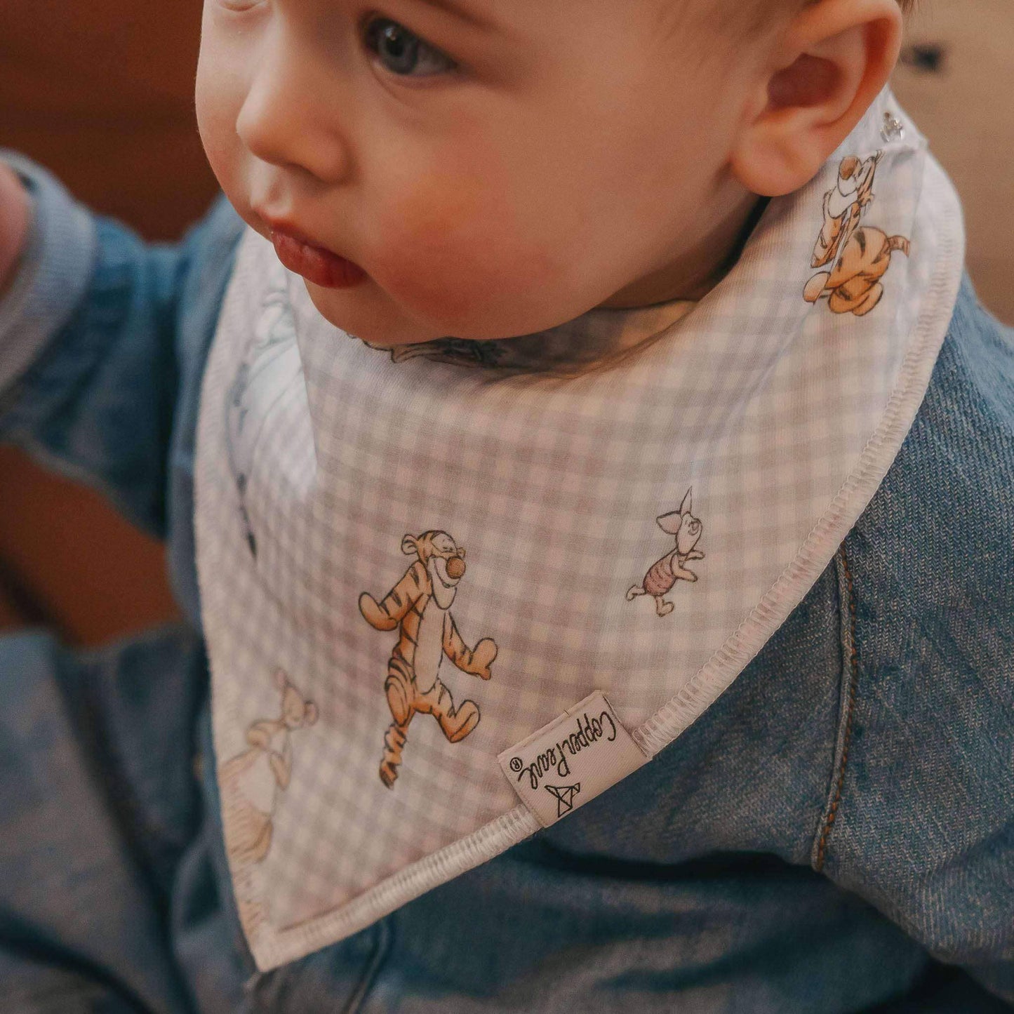 Copper Pearl | 4 Pack Baby Bandana Bibs - Hundred Acre Wood