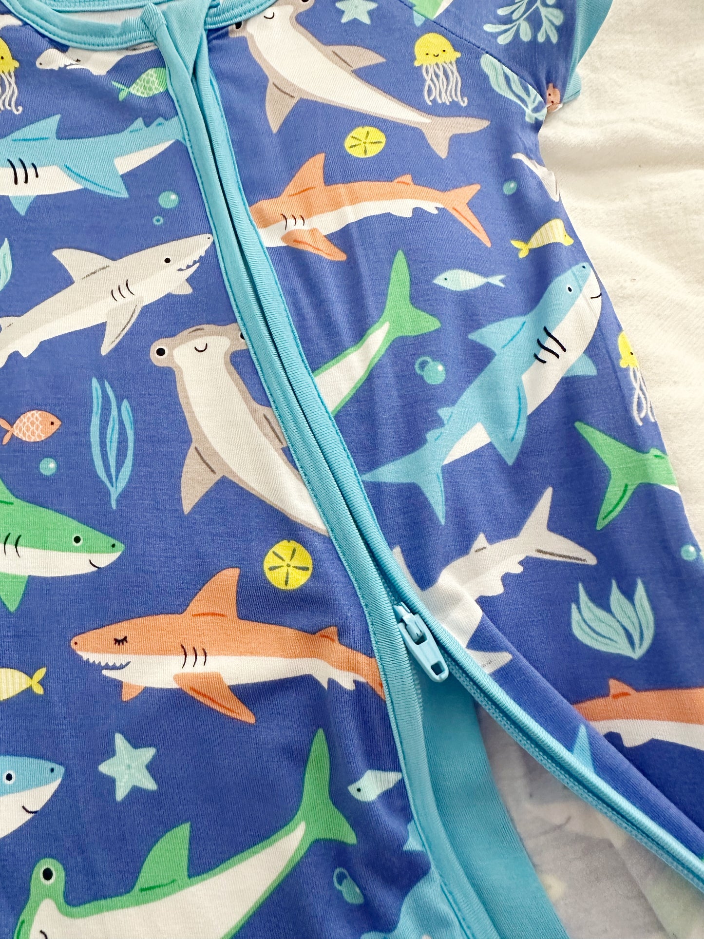 Rad Reef Shorty Zippy