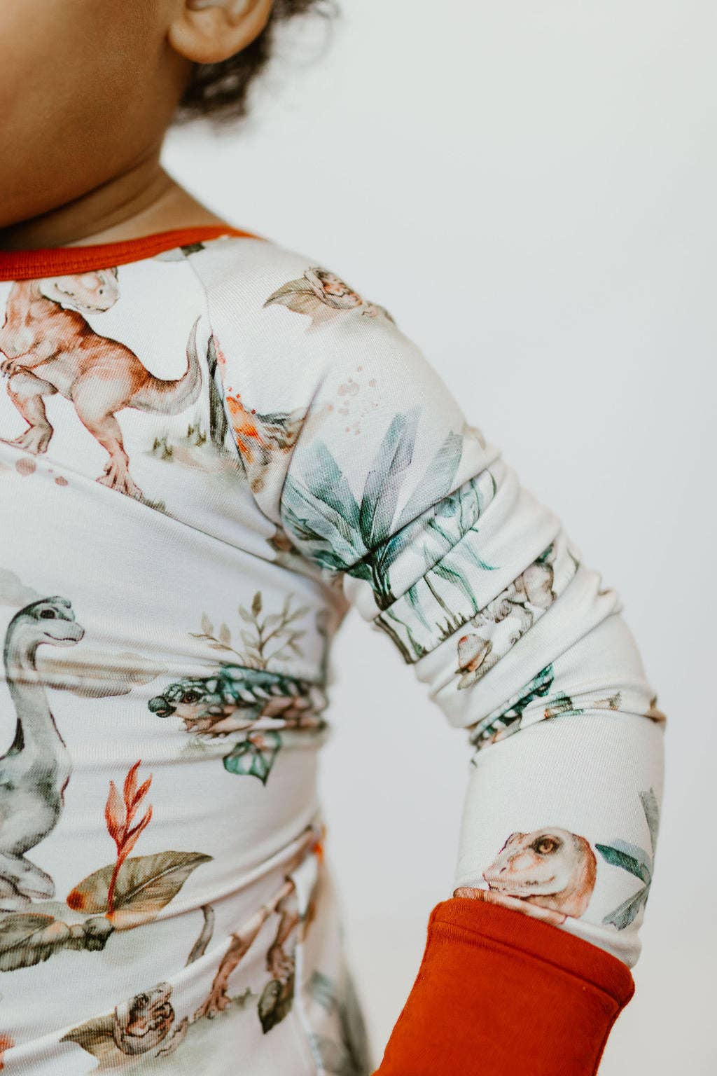 Jurassic Dreams (dinosaurs) Baby Bamboo Zipper Romper