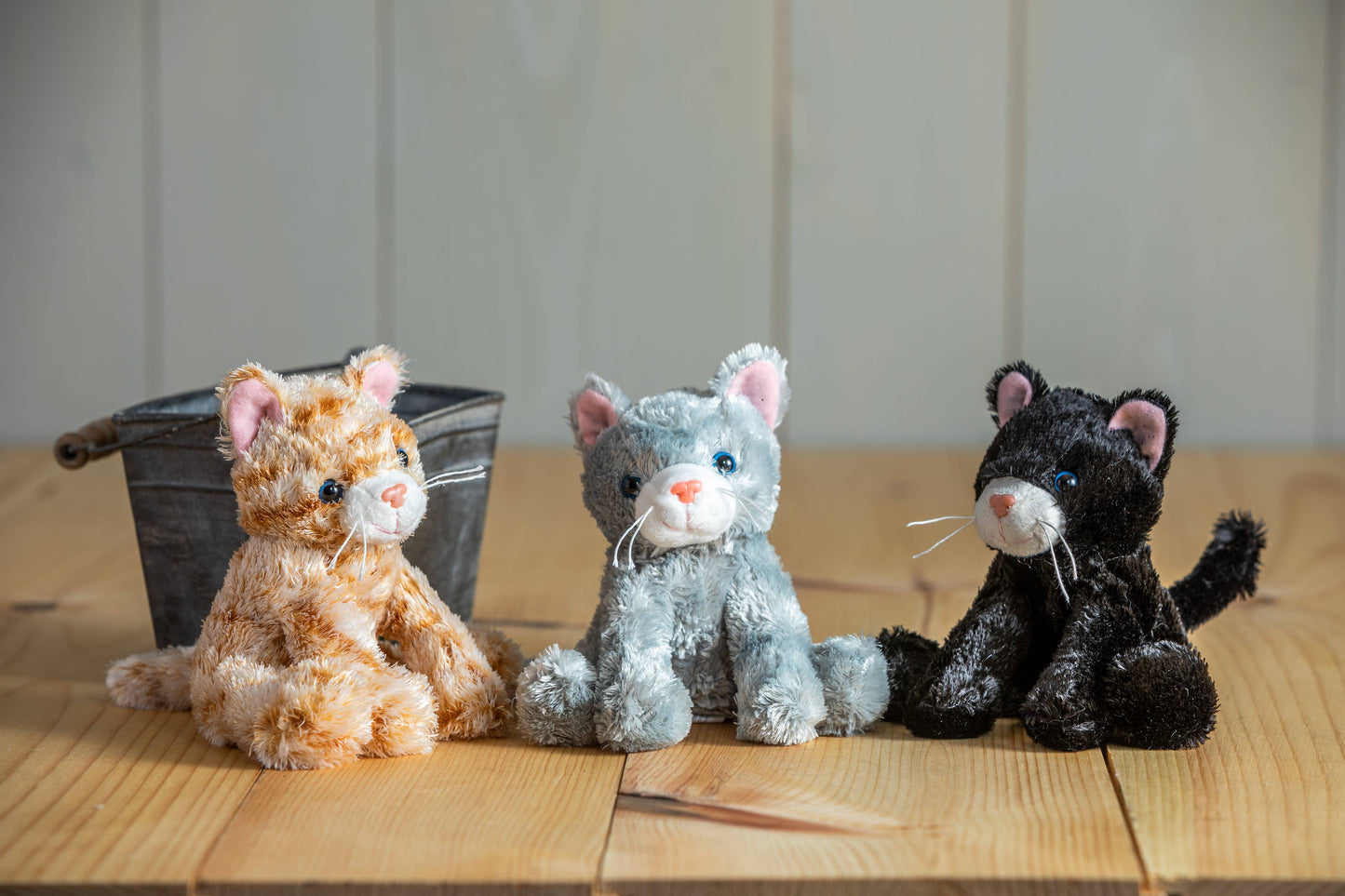 Mary Meyer | Catsy Kitty