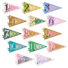 Little Artist Baby Milestone Pennants