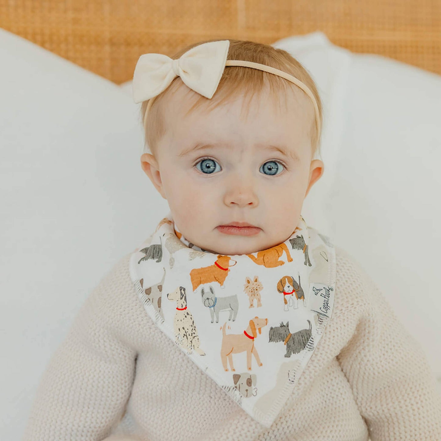 Copper Pearl | 4 Pack Baby Bandana Bibs - Rufus