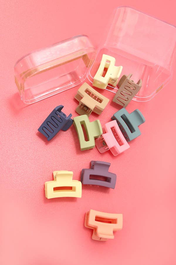 Mini Pack of 10 Hair Clips