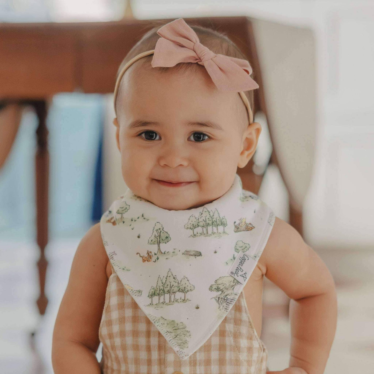 Copper Pearl | 4 Pack Baby Bandana Bibs - Hundred Acre Wood