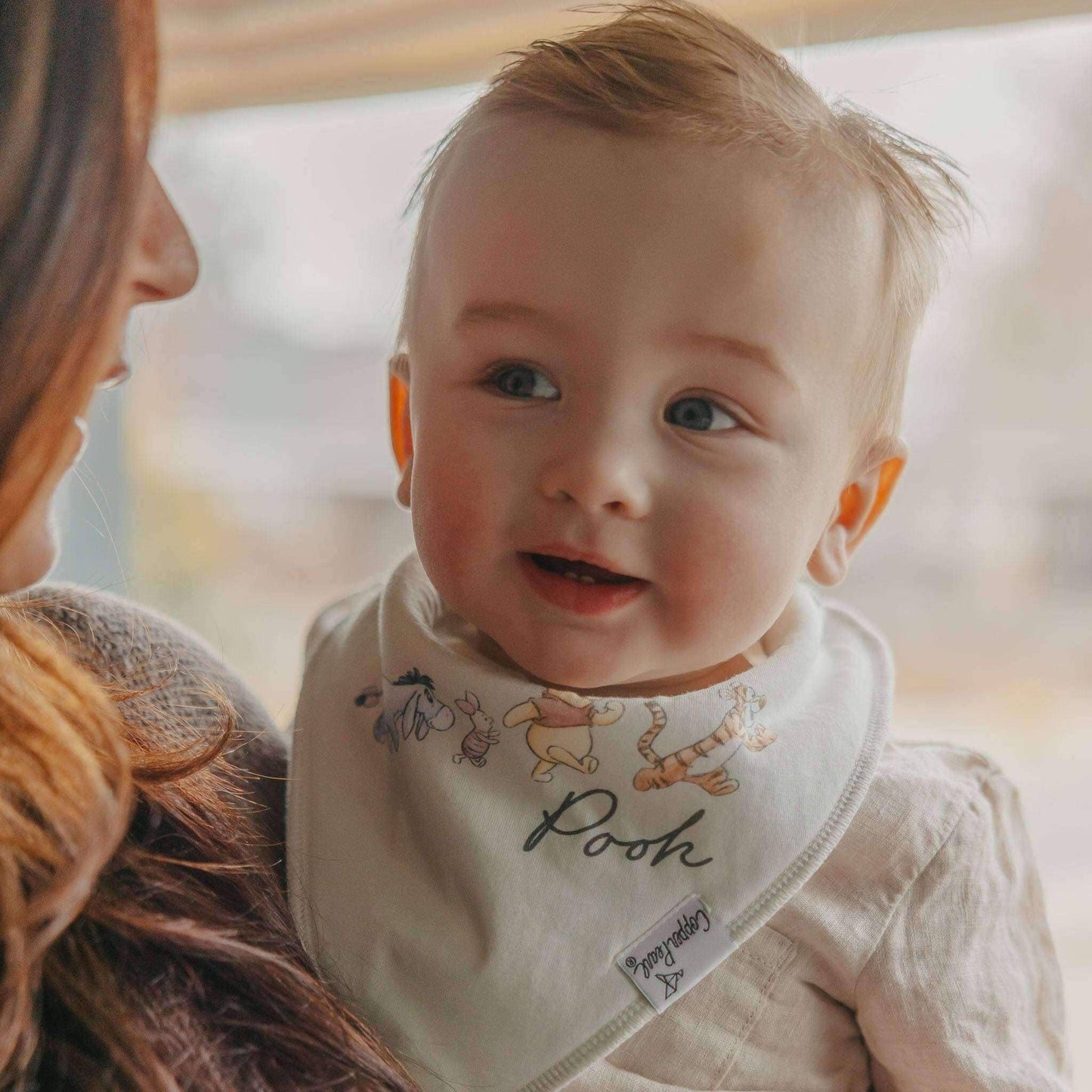 Copper Pearl | 4 Pack Baby Bandana Bibs - Hundred Acre Wood