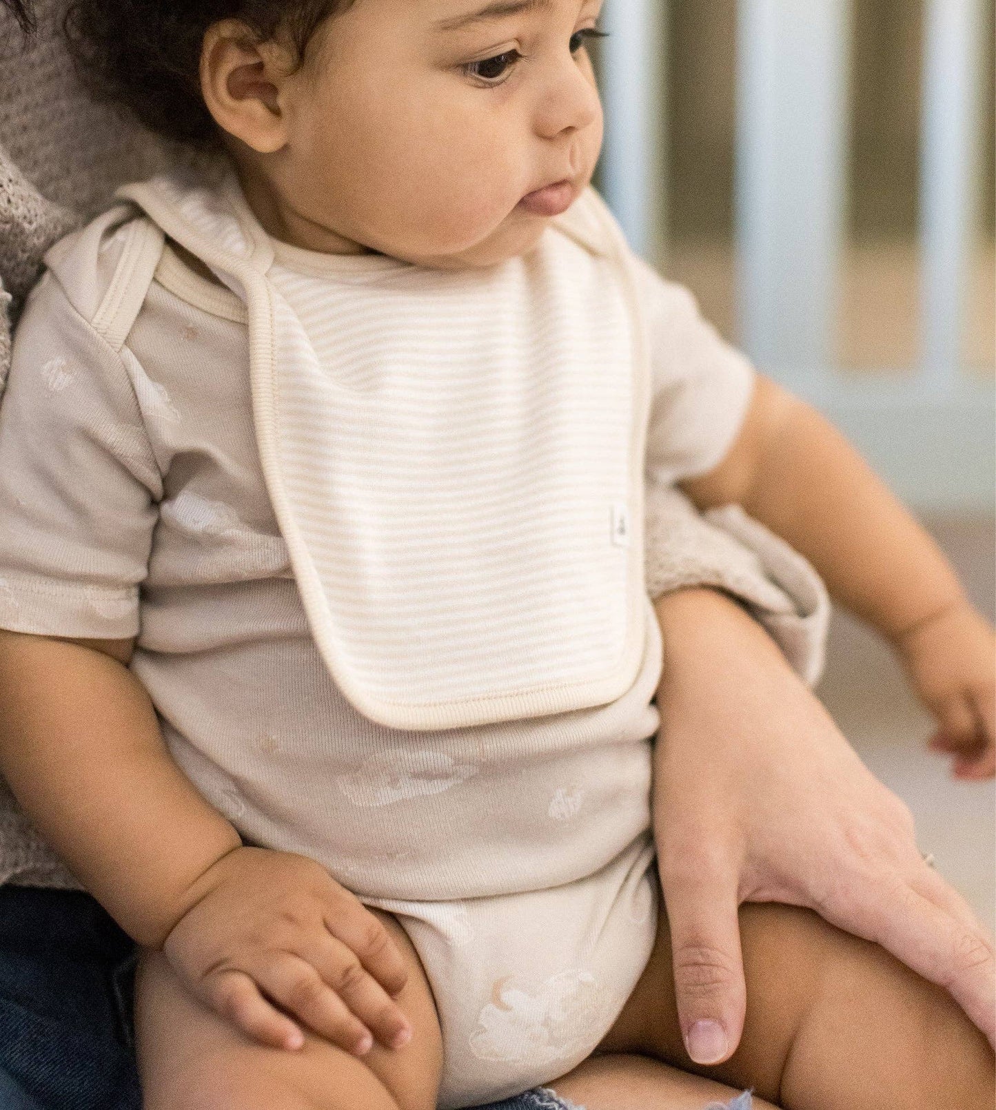 Golden Bee Lap Shoulder Bibs Set of 5 | Organic Cotton