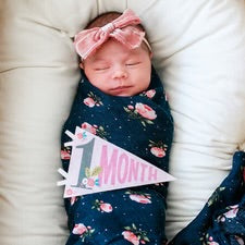 Little Artist Baby Milestone Pennants
