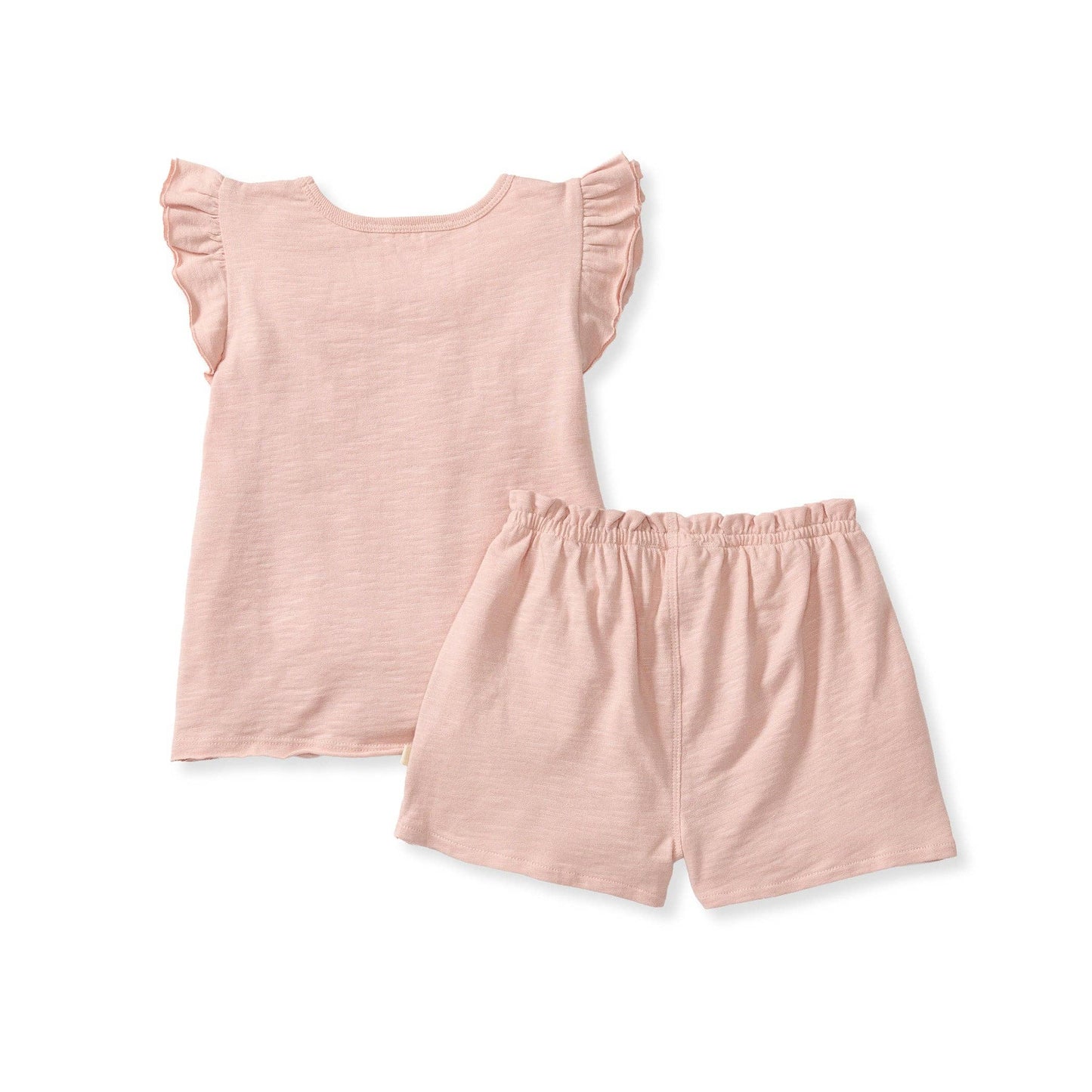 Burt's Bees Baby - Organic Girl Slub Tee & Shorts Set