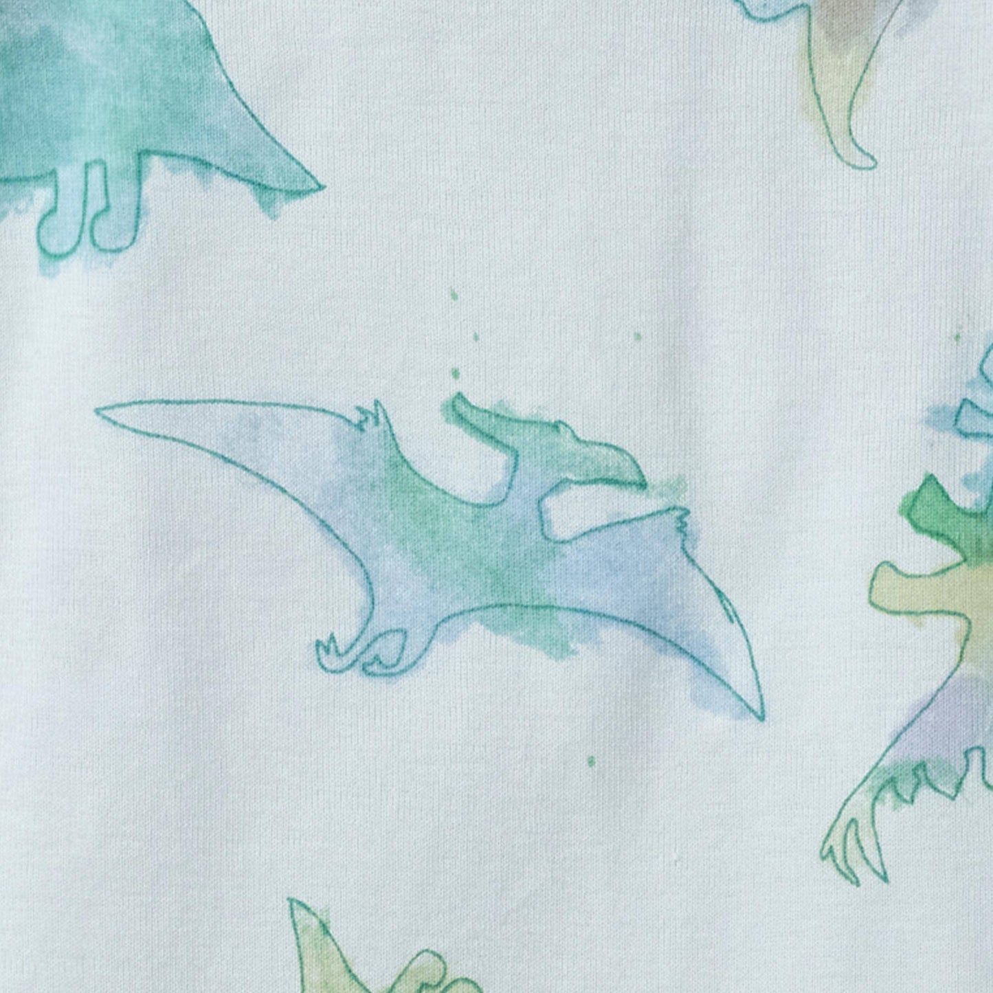 Burt's Bees Baby - Watercolor Dinos Organic Baby Sleeper Romper - Rain