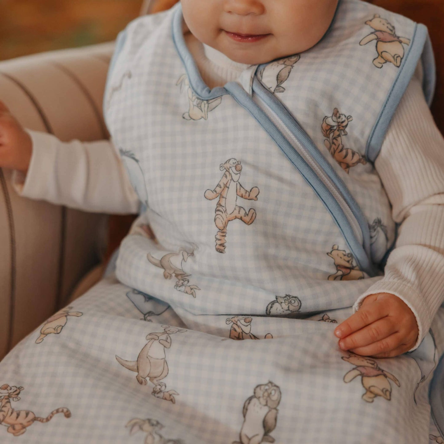Copper Pearl | Sleep Bag - Winnie the Pooh and Friends