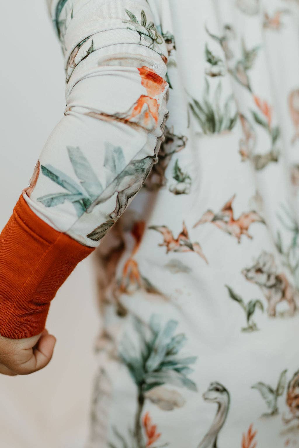 Jurassic Dreams (dinosaurs) Baby Bamboo Zipper Romper