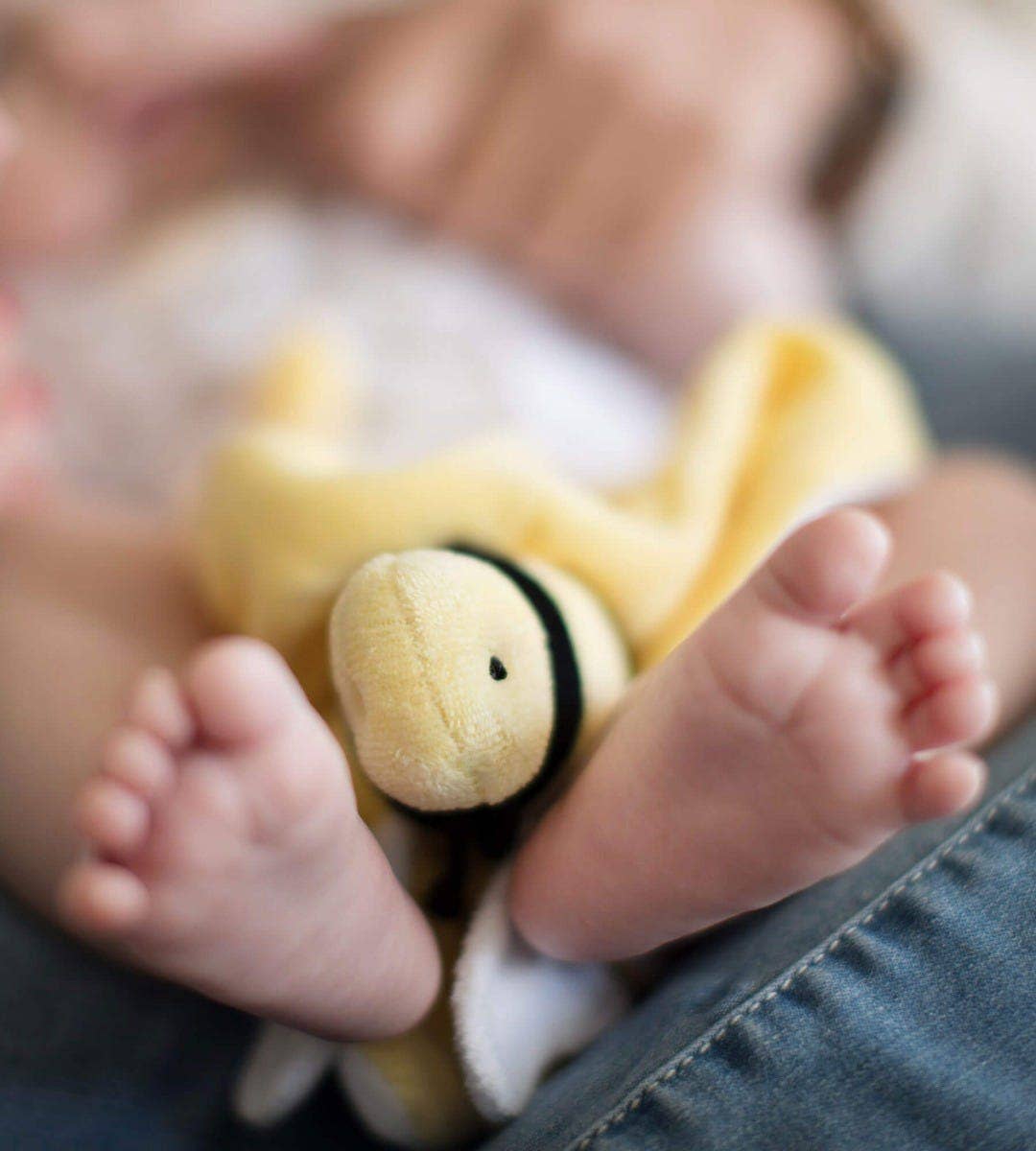 Burt's Bees Baby - Hold Me Bee Organic Plush Lovey